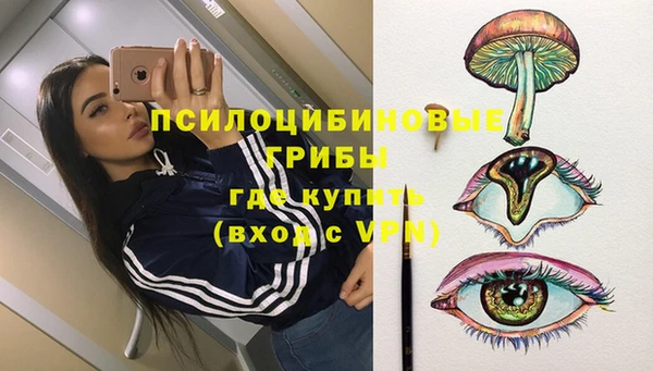 прущая мука Рославль