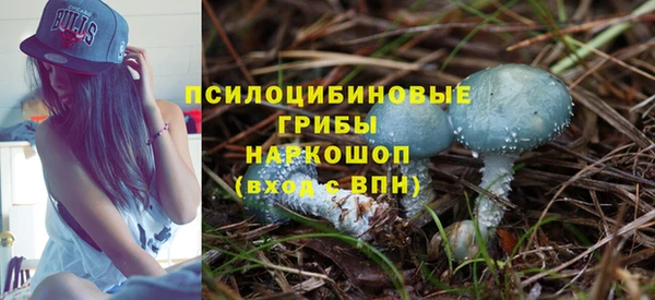 гашиш Бородино