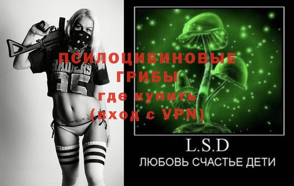 гидра Бугульма