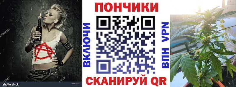 Бошки Шишки индика  Бородино 